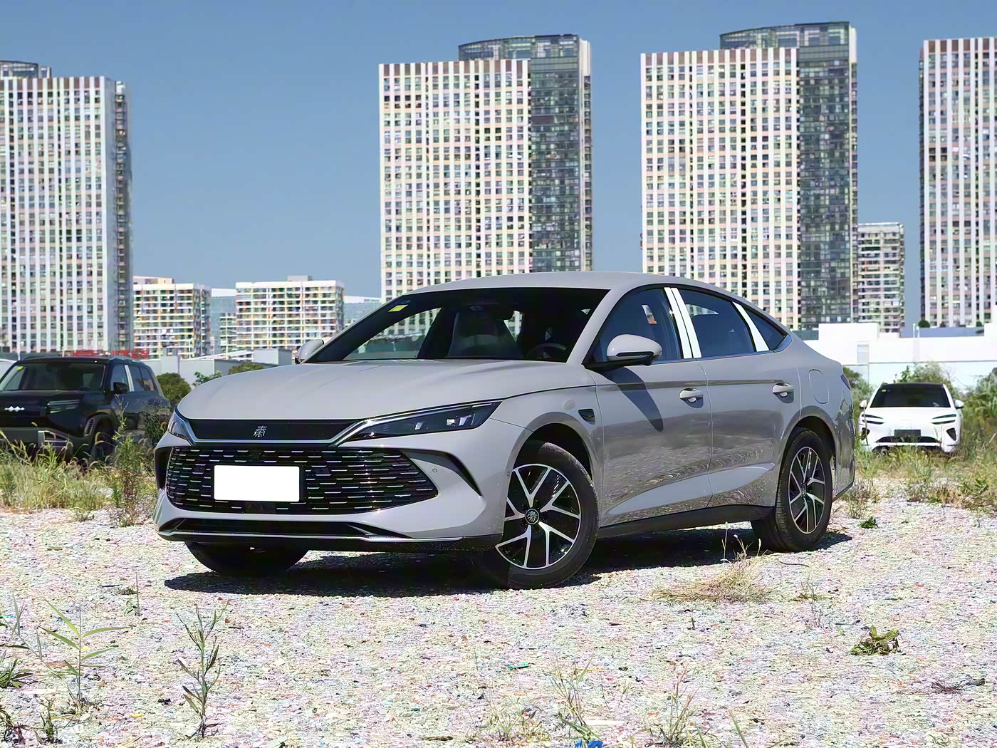 BYD QinL DM-i Front Grille - PHEV Sedan