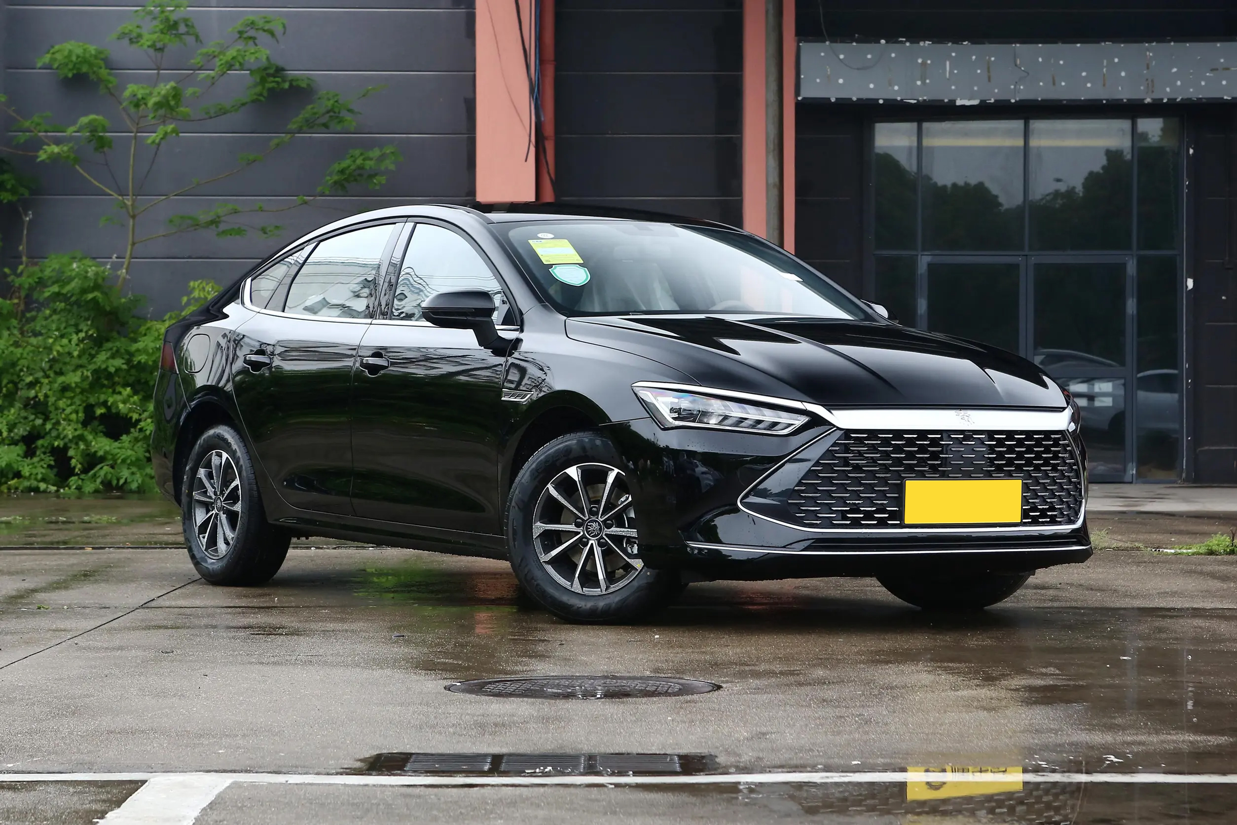 BYD QinPlus DM-i Front Grille - PHEV Technology