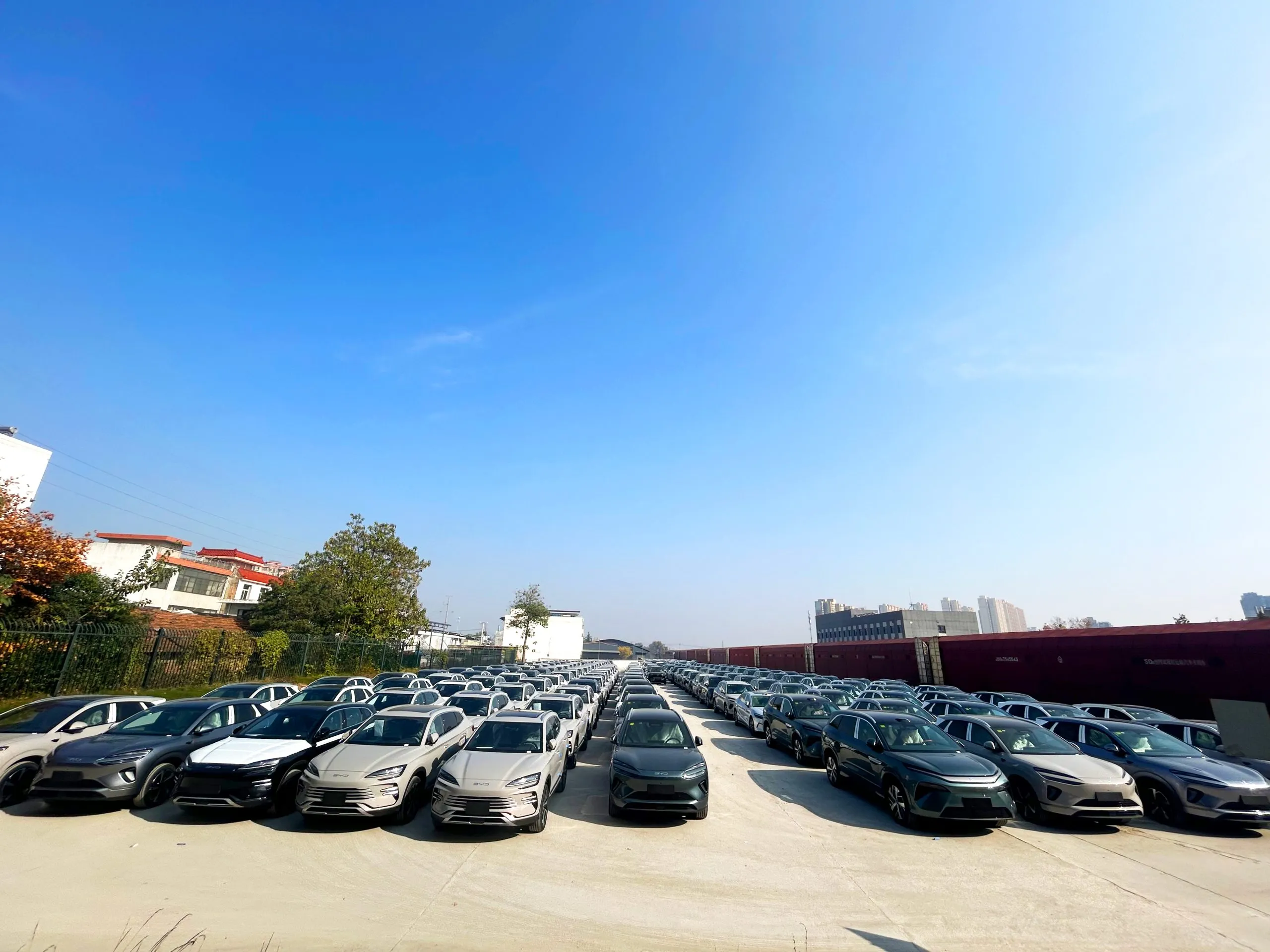 A logistics professional conducts a final quality check on a lineup of new BYD cars before they are loaded onto shipping containers for export.