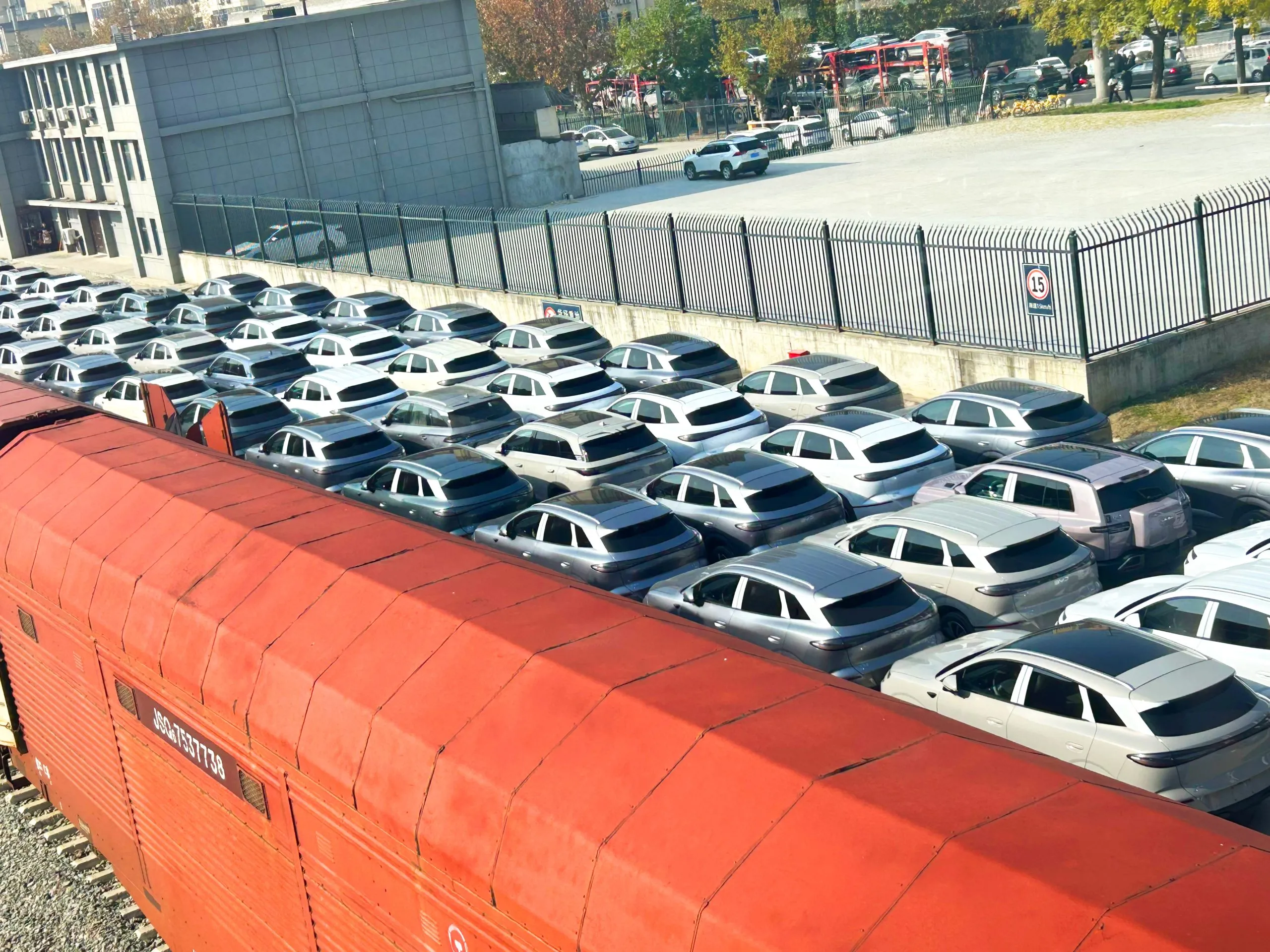 New BYD electric vehicles being securely loaded into an international shipping container, ensuring safe and protected delivery to customers worldwide.