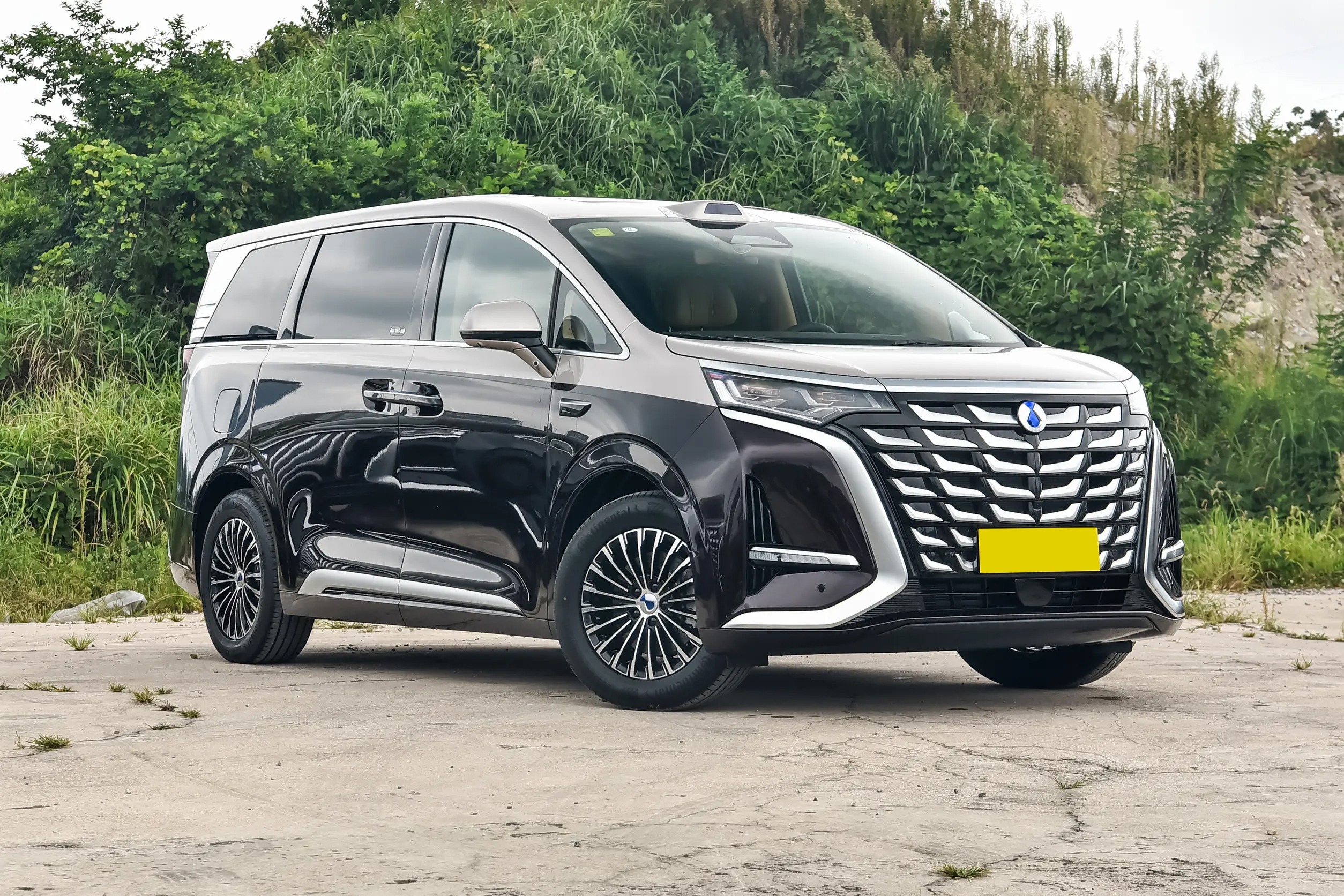 DCP_44385bf635109383f6006568692814322508x0